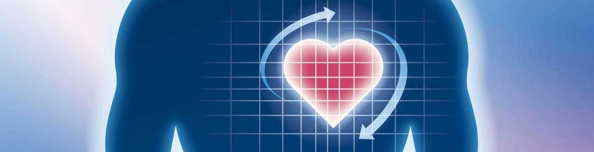 heart-rate-variability-and-how-to-influence-it